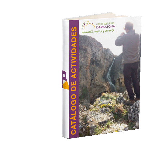 Catálogo de Actividades de Turismo Activo