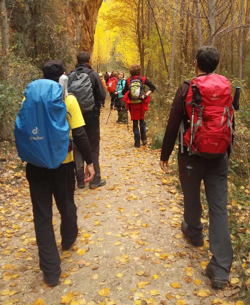 Senderismo activo en un bosque de Barbatona