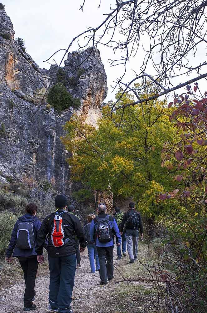 Interpretación del medio ambiente Turismo activo en Barbatona