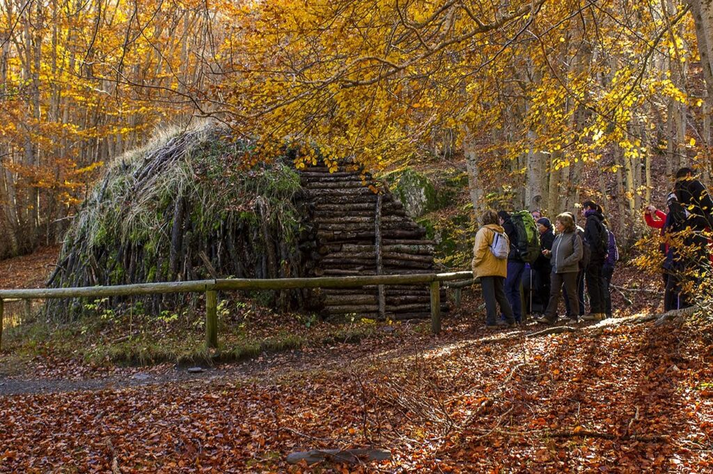 Senderismo en el Hayedo