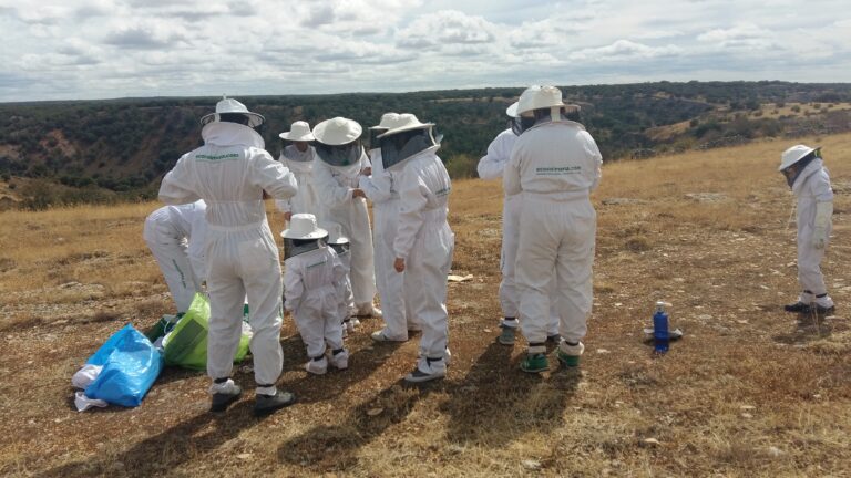 actividades Apiturismo de Ecocolmena en Barbatona