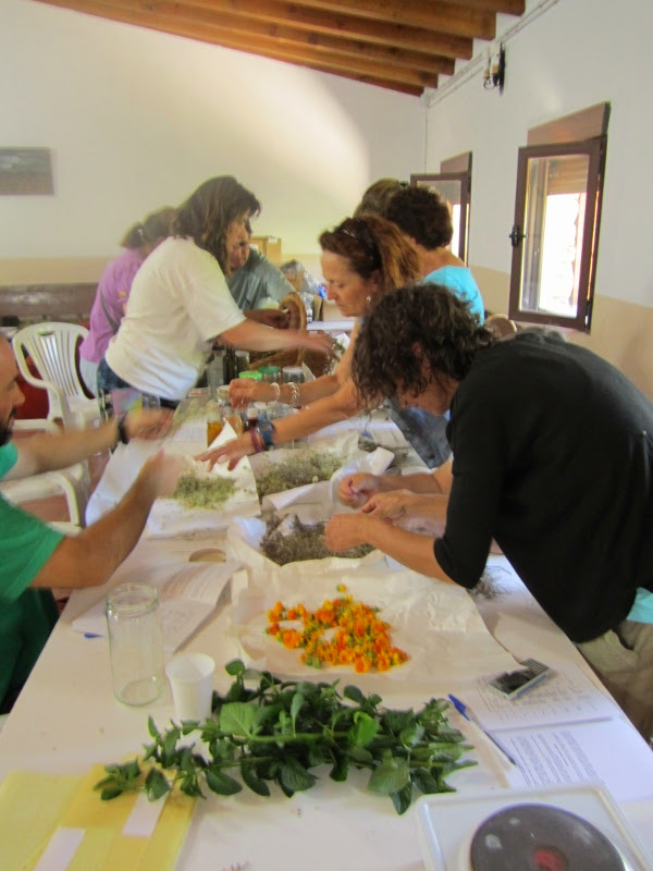 Actividades de Talleres de naturaleza