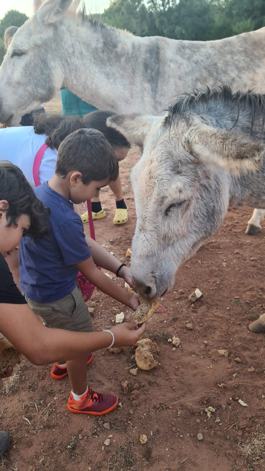 Centro Ecoturismo Barbatona