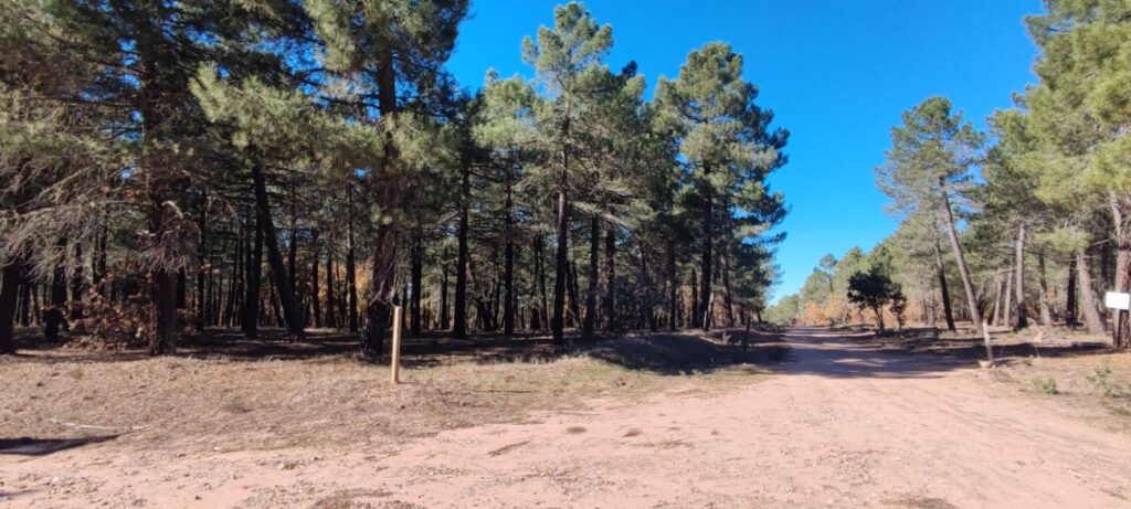 Centro Ecoturismo Barbatona señalizamos rutas en Molina de Aragón