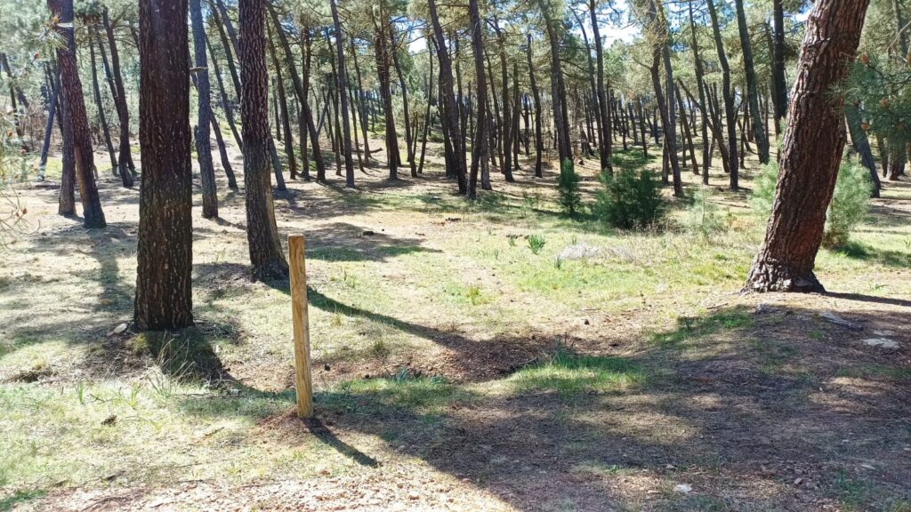 centro ecoturismo barbatona señalizamos rutas en Molina de Aragón