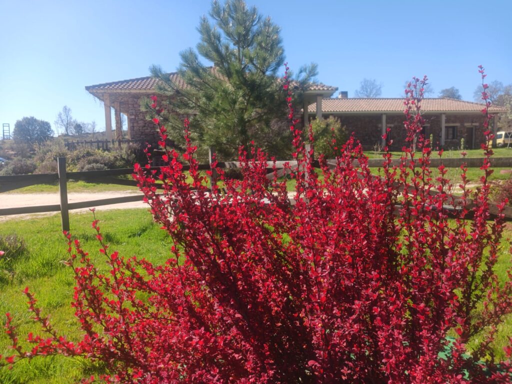 actividades de ocio centro ecoturismo barbatona
