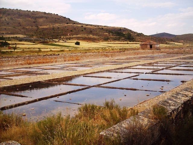 Centro-ecoturismo-activo-barbatona.-senderismo-saladares